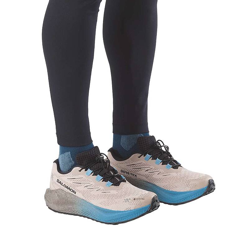 Salomon Aero Blaze 4 Grvl GTX Erkek Gravel Koşu Ayakkabısı L45403300 - 2