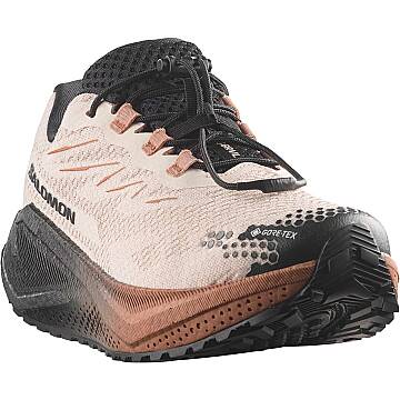 Salomon Aero Blaze 4 Grvl GTX W Kadın Gravel Koşu Ayakkabısı L45403900 - 4