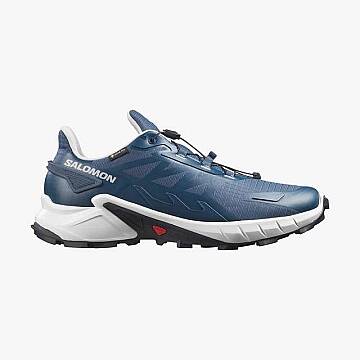 Salomon Supercross 4 GTX Erkek Patika Koşu Ayakkabısı L45447400