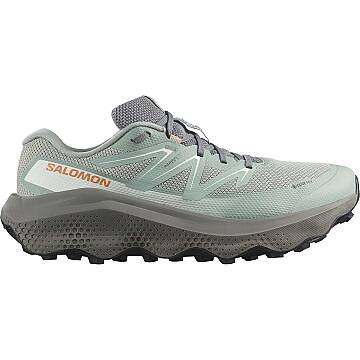 Salomon Ultra Flow 2 GTX Erkek Patika Koşu Ayakkabısı L45473900